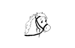 Black's Horses and Ponies, Inc.
