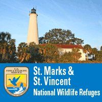 St. Marks and St. Vincent National Wildlife Refuge