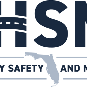 Florida Highway Safety and Motor Vehicles Child Safety Programs
