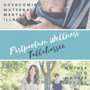Postpartum Wellness Tallahassee