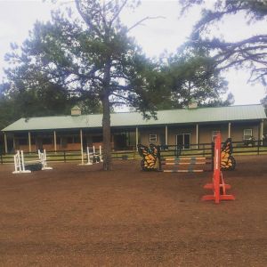 Moccasin Stables Horse Day Camp