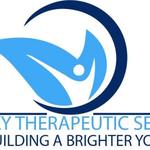 Blue Sky Therapeutic Services