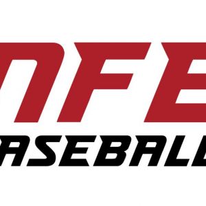 NFE Baseball Summer Camps