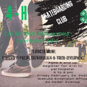 Skateboarding Club with 4-H