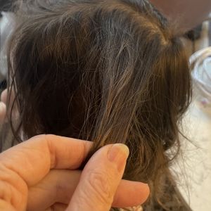 LiceDoctors Lice Treatment and Removal