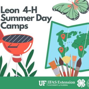 4-H Summer Day Camps