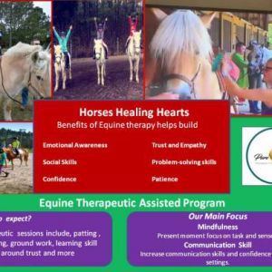 Moccasin Stables Therapeutic Riding Lessons