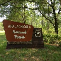 Sopchoppy- Apalachicola National Forest