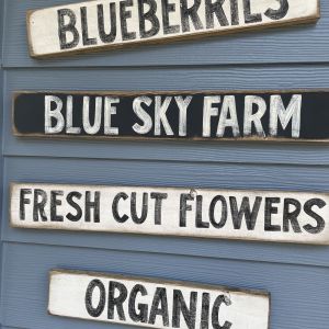 05/11: Blue Sky Berry Farm Mother's Day Workshop