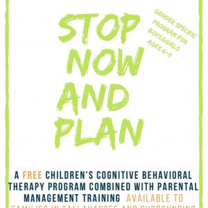 Stop Now and Plan (SNAP) at CCYS