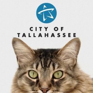 Tallahassee Animal Services Volunteering