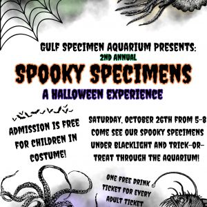 10/26: Spooky Specimens at Gulf Specimen Marine Lab