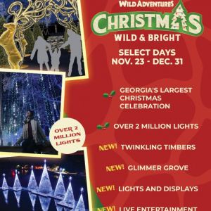 11/23-12/31: Wild Adventures Christmas Wild and Bright