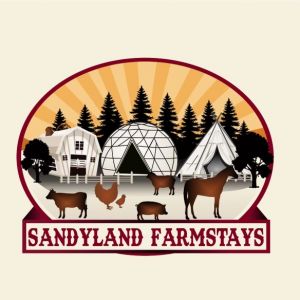 Junior Trainer Farm Camps at SandyLand Farmstays