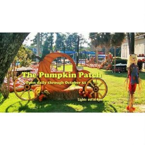 Tallahassee Heights UMC Pumpkin Patch