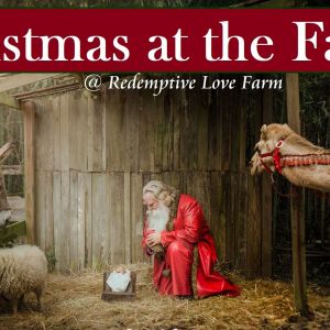 12/20-24: Christmas at the Farm