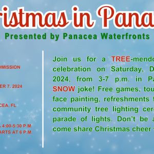 12/07: Christmas in Panacea