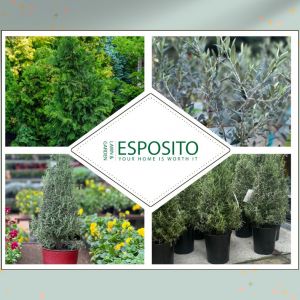 Esposito's Lawn and Garden Center